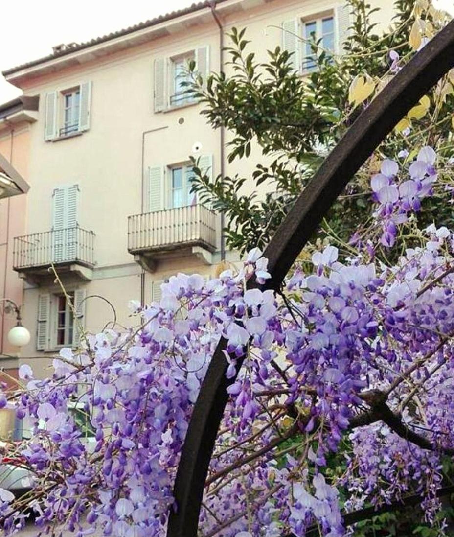Casa Vacanze Stella Verbania Exterior foto